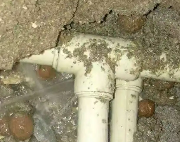 南湖测漏水多少钱