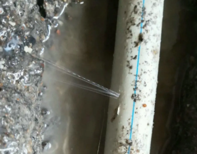 南湖测漏水哪家好