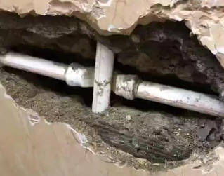 南湖测漏水哪家好