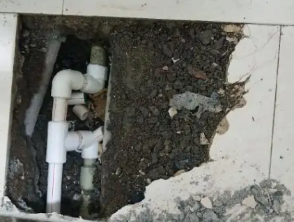 南湖测漏水哪家好