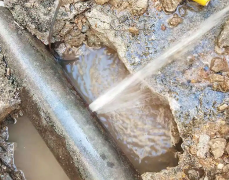 南湖测漏水公司