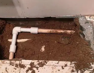 南湖测漏水哪家好