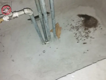 南湖卫生间测漏水价格明细