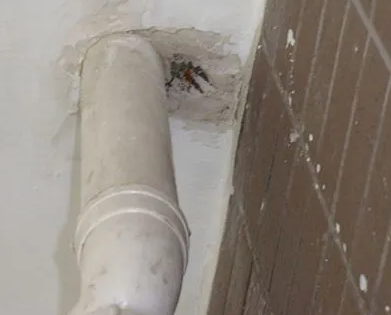 南湖漏水检测哪家好